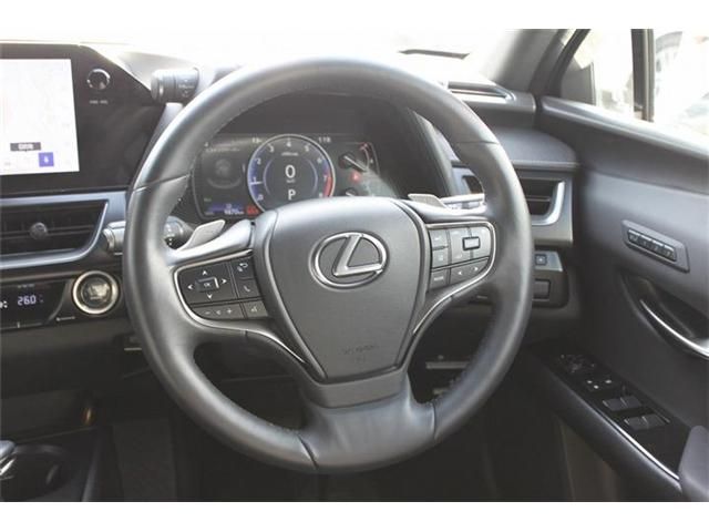TOYOTA LEXUS UX200 2022 Image 31