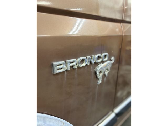FORD BRONCO 1983 Image 31