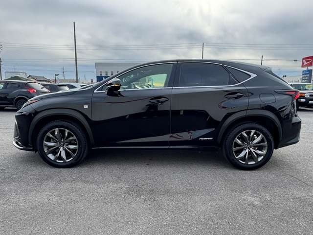 TOYOTA LEXUS NX300H 2017 Image 31