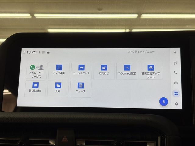 TOYOTA LANDCRUISER 250 2024 Image 31