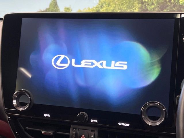 TOYOTA LEXUS NX250 AWD 2023 Image 31