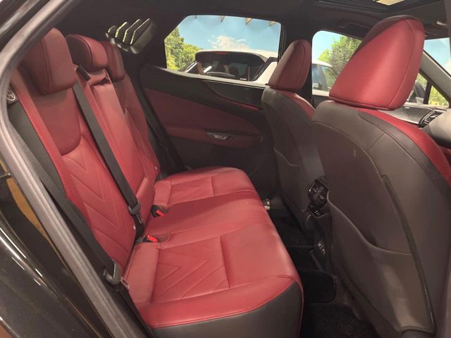 TOYOTA LEXUS NX250 AWD 2023 Image 31