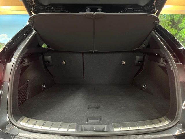 TOYOTA LEXUS NX250 AWD 2023 Image 31