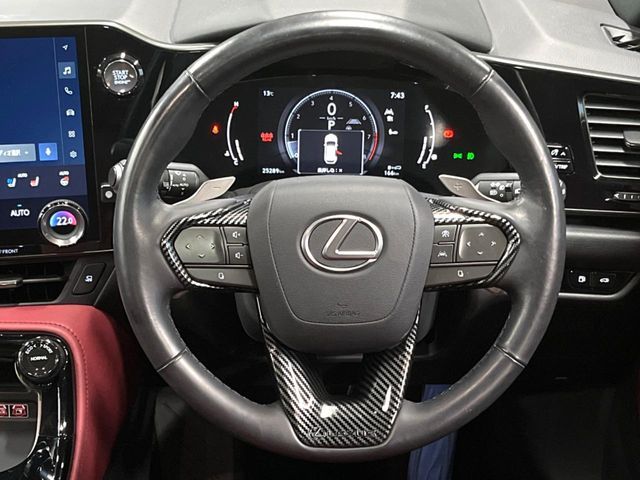 TOYOTA LEXUS NX250 AWD 2023 Image 31