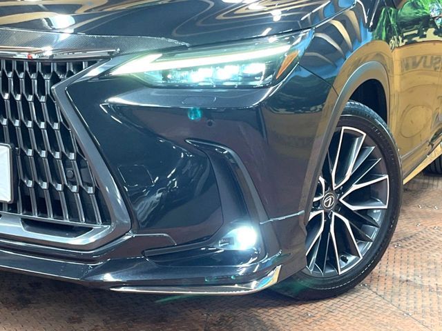 TOYOTA LEXUS NX250 AWD 2023 Image 31