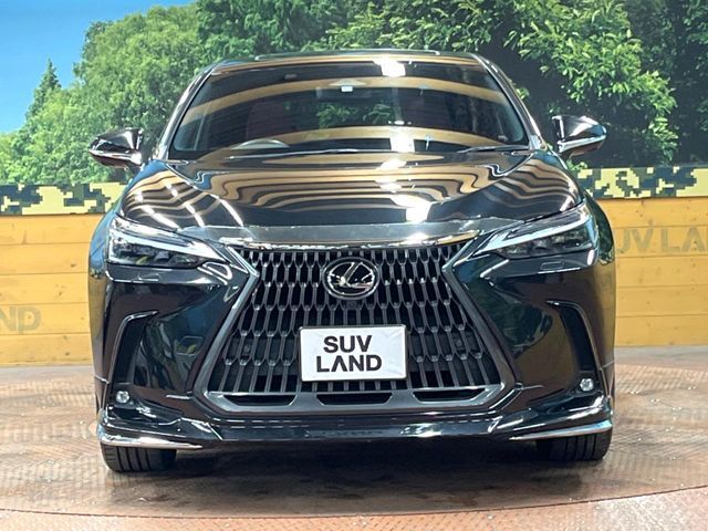 TOYOTA LEXUS NX250 AWD 2023 Image 31