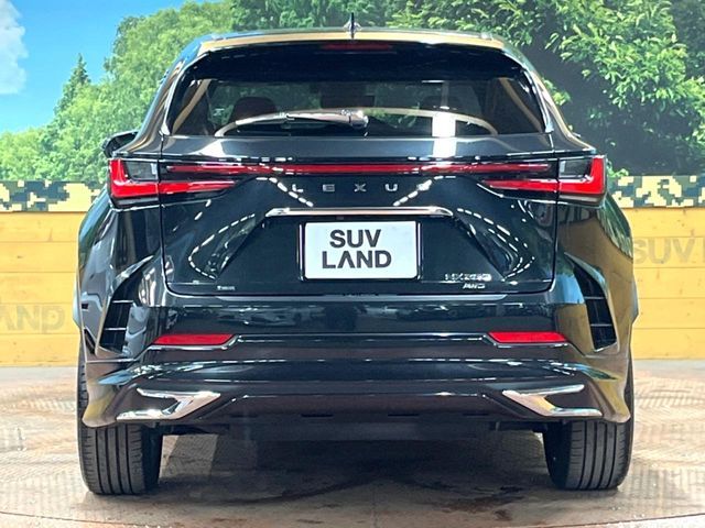 TOYOTA LEXUS NX250 AWD 2023 Image 31