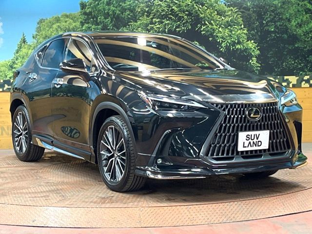 TOYOTA LEXUS NX250 AWD 2023 Image 31