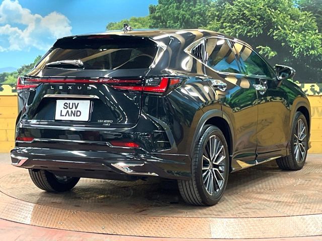 TOYOTA LEXUS NX250 AWD 2023 Image 31