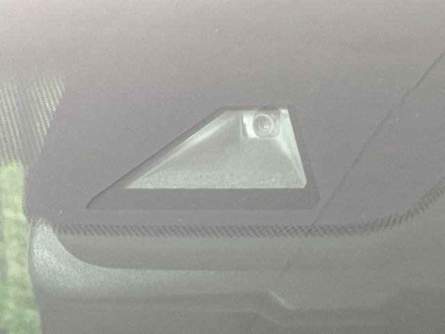 TOYOTA ALPHARD 2019 Image 31