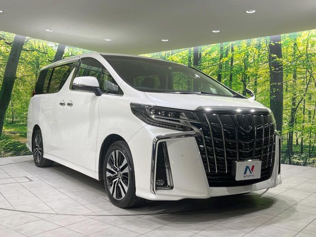 TOYOTA ALPHARD 2019 Image 31