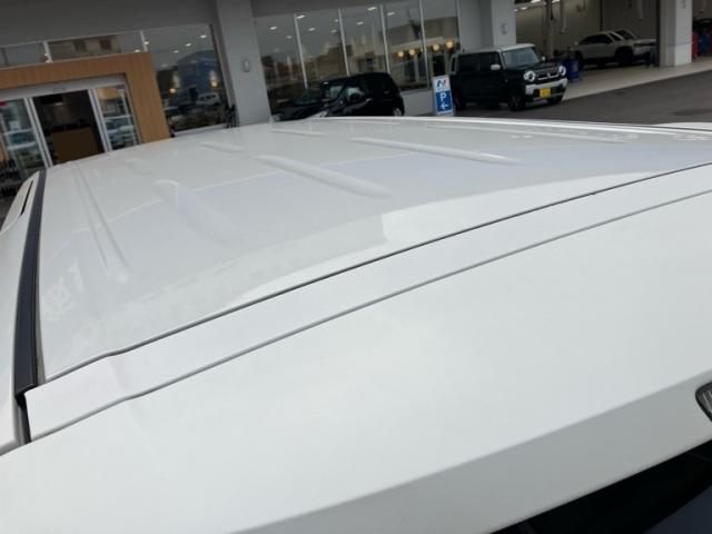 NISSAN ELGRAND 2011 Image 31