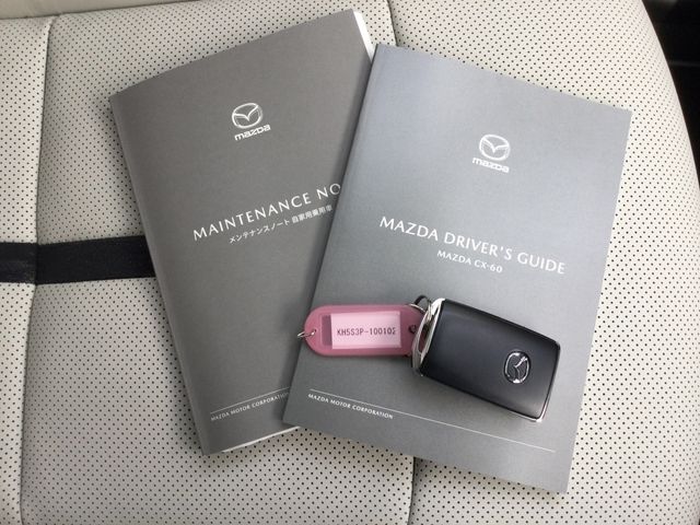 MAZDA CX-60 PHEV 2022 Image 31