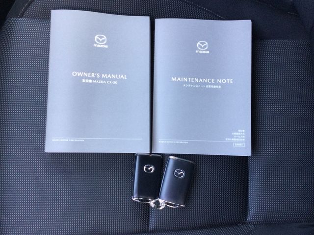 MAZDA CX-30 2022 Image 31