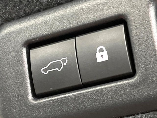 TOYOTA LEXUS RX450H 2WD 2019 Image 31