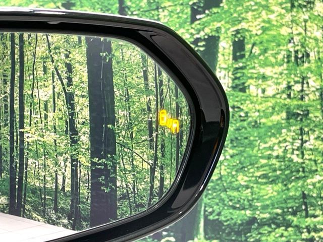 TOYOTA PRIUS PHV 2017 Image 31