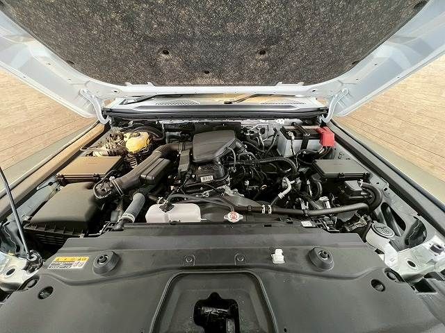 TOYOTA LANDCRUISER 250 2024 Image 31