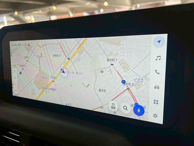 TOYOTA LANDCRUISER 250 2024 Image 31