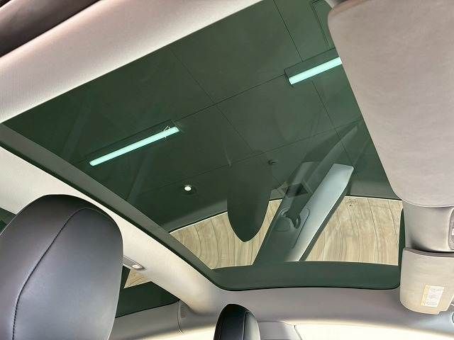 TESLA MODEL 3 2020 Image 31