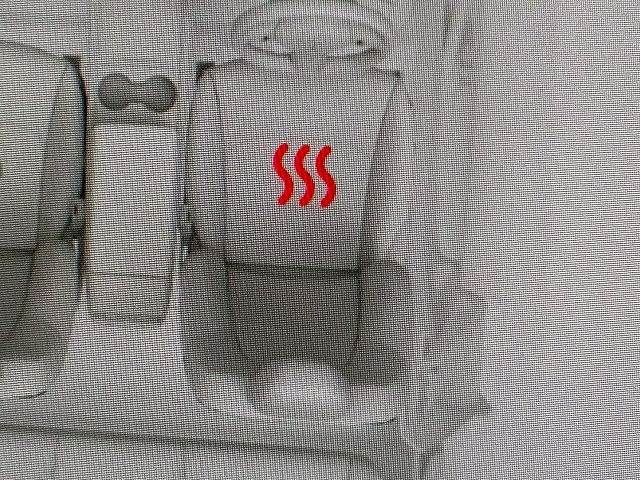 TESLA MODEL 3 2020 Image 31