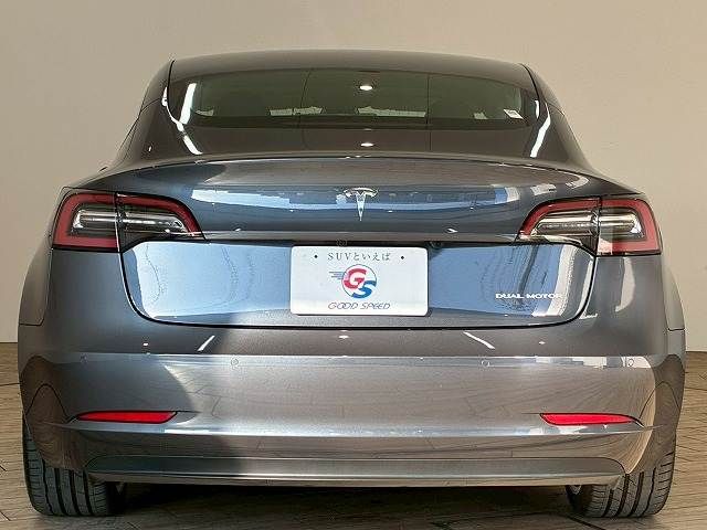 TESLA MODEL 3 2020 Image 31