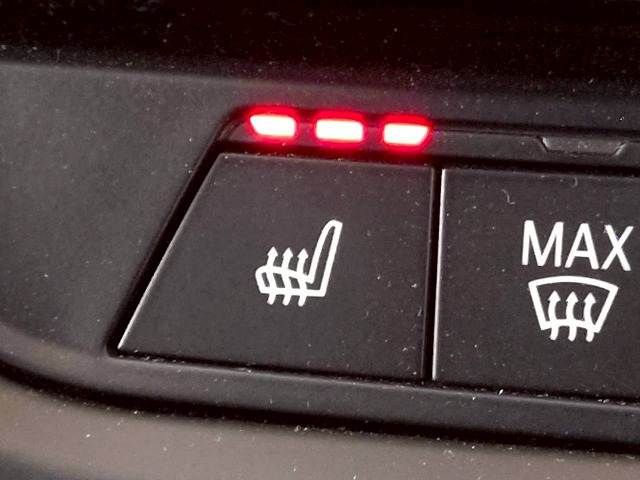 BMW 1SERIES 2020 Image 31