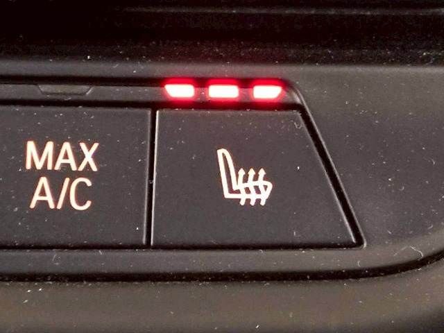 BMW 1SERIES 2020 Image 31