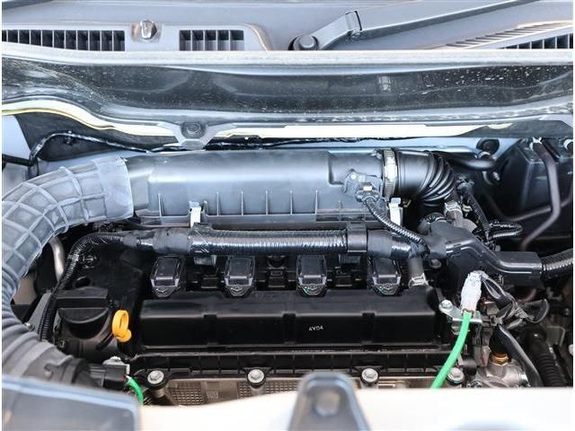 SUZUKI SOLIO 2024 Image 31