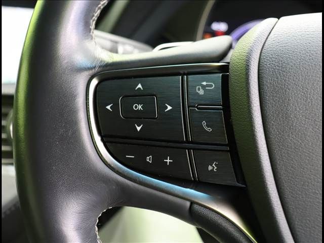 TOYOTA LEXUS LS500H 2017 Image 31