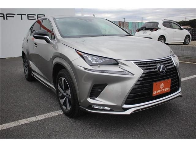 TOYOTA LEXUS NX300H 2020 Image 31