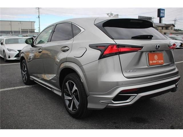TOYOTA LEXUS NX300H 2020 Image 31