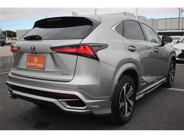 TOYOTA LEXUS NX300H 2020 Image 31