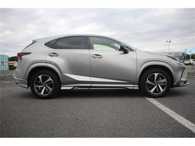 TOYOTA LEXUS NX300H 2020 Image 31