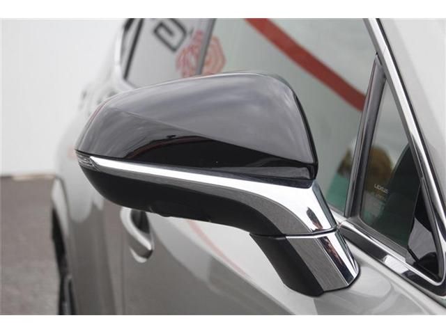 TOYOTA LEXUS NX300H 2020 Image 31