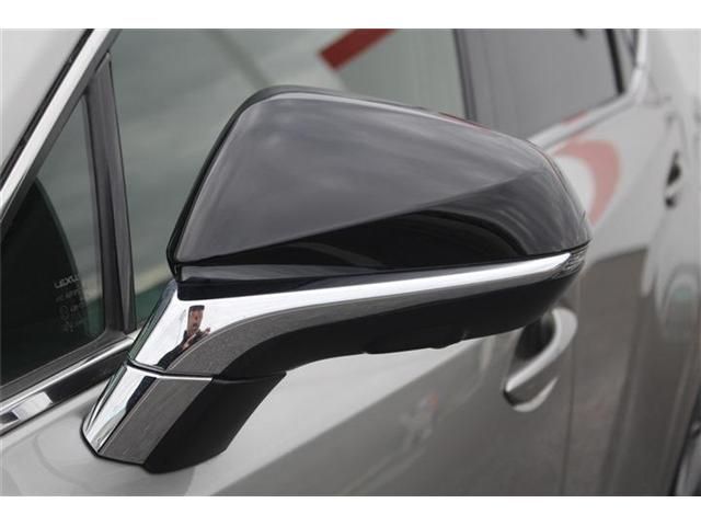 TOYOTA LEXUS NX300H 2020 Image 31