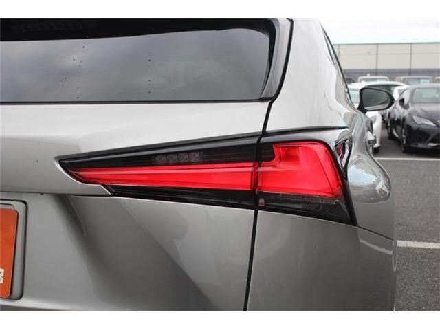 TOYOTA LEXUS NX300H 2020 Image 31