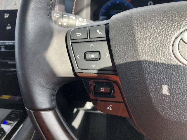 TOYOTA ALPHARD HYBRID 4WD 2024 Image 31