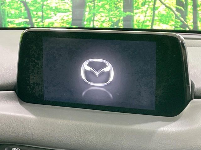 MAZDA CX-8 2018 Image 31