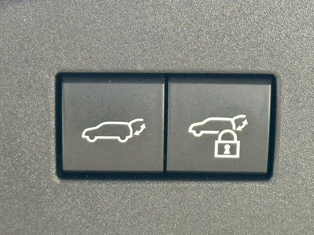 TOYOTA LANDCRUISER 250 2024 Image 31