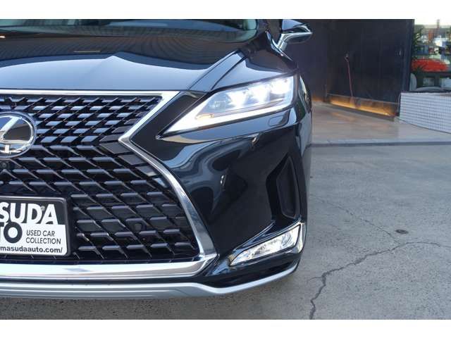 TOYOTA LEXUS RX300 AWD 2019 Image 31