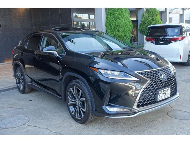 TOYOTA LEXUS RX300 AWD 2019 Image 31