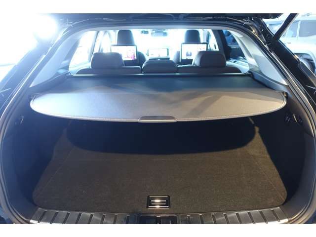 TOYOTA LEXUS RX300 AWD 2019 Image 31