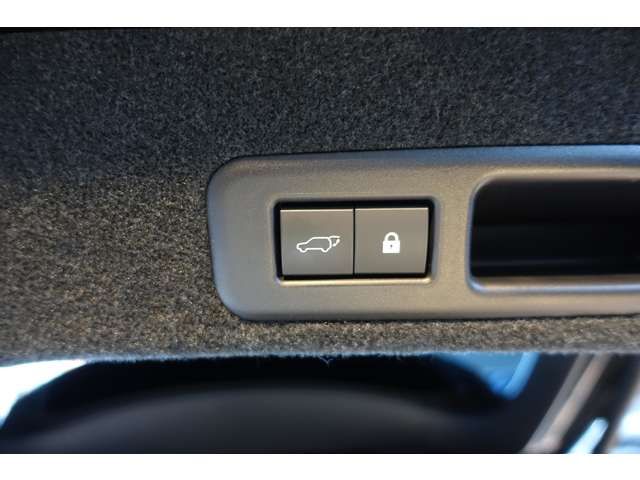 TOYOTA LEXUS RX300 AWD 2019 Image 31