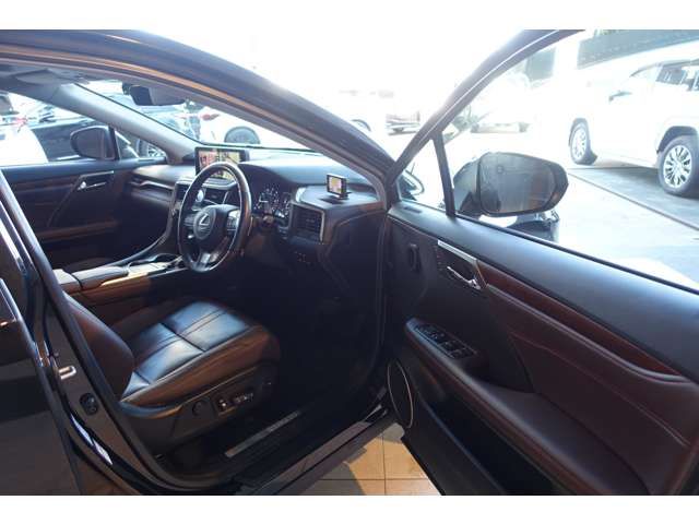 TOYOTA LEXUS RX300 AWD 2019 Image 31