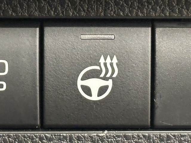 TOYOTA RAV4 4WD 2023 Image 31