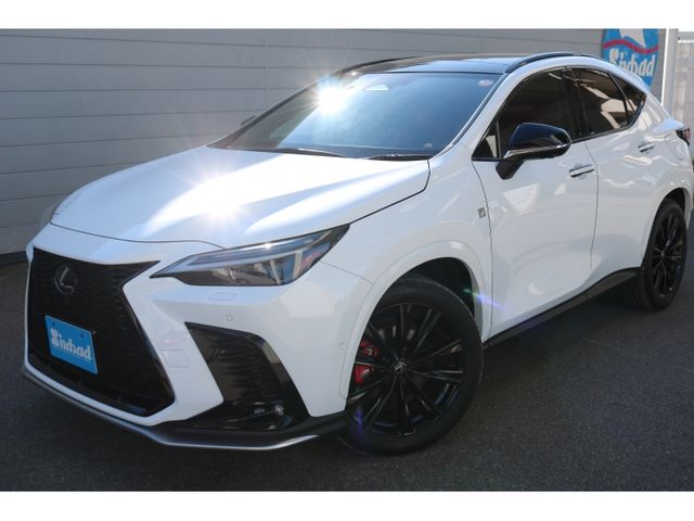 TOYOTA LEXUS NX350H 2023 Image 31