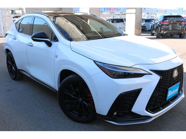 TOYOTA LEXUS NX350H 2023 Image 31