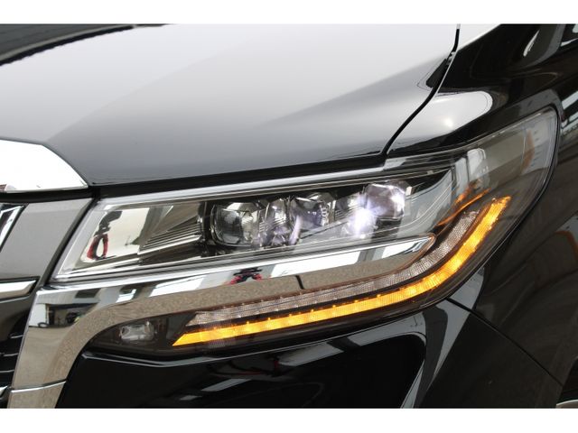 TOYOTA ALPHARD 2019 Image 31