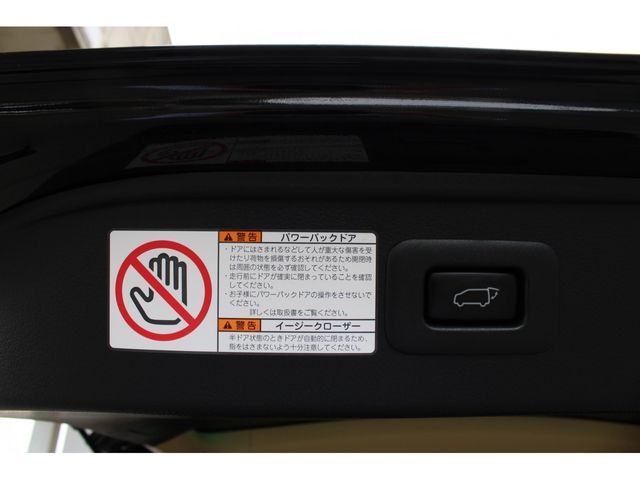 TOYOTA ALPHARD 2019 Image 31