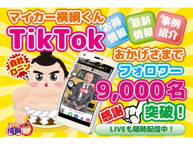 CITROEN C3 2013 Image 31